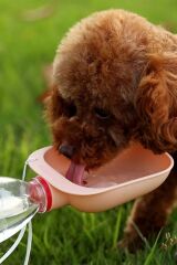 Taşınabilir Evcil Hayvan Su Şişesi Bağlantılı İçme Kabı Sızdırmaz Plastik Kediler ve Köpekler İçin