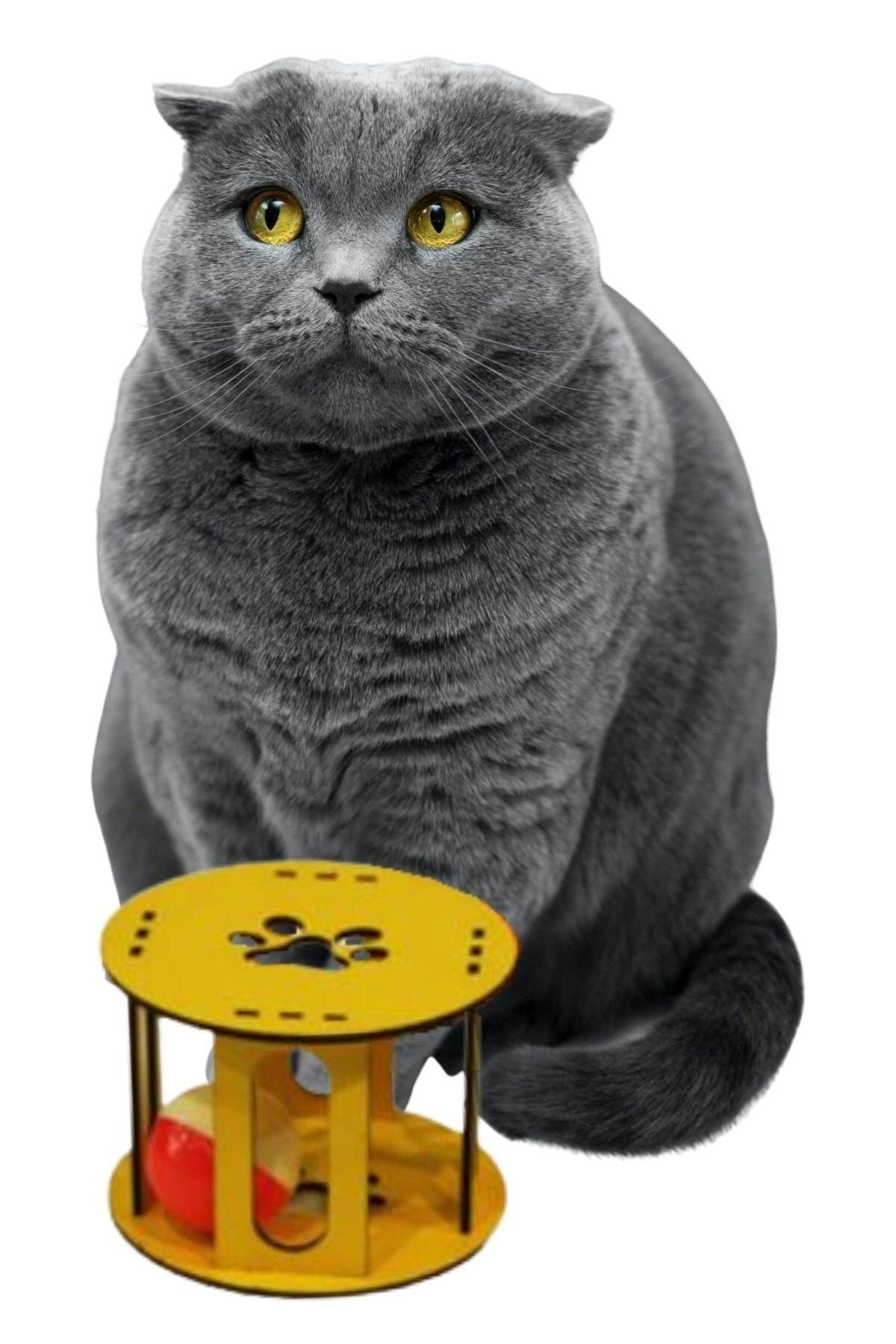 Ahşap Kafes Renkli Toplu Kedi Patisi Desenli Sesli Kedi Oyuncağı