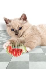 Eğlenceli Metal Spiral Top, Fare Figürlü Zıplayan Kedi Oyuncağı