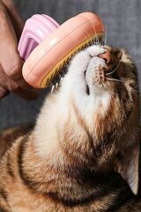 Plastik Pembe Evcil Hayvan Bakım Pet Fırçası Çok Amaçlı Pet Fırçası Pembe