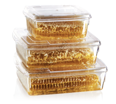 ecenplast Plastik Flora Kapaklı Kutu 150 Cc (10 Adet) 150cc