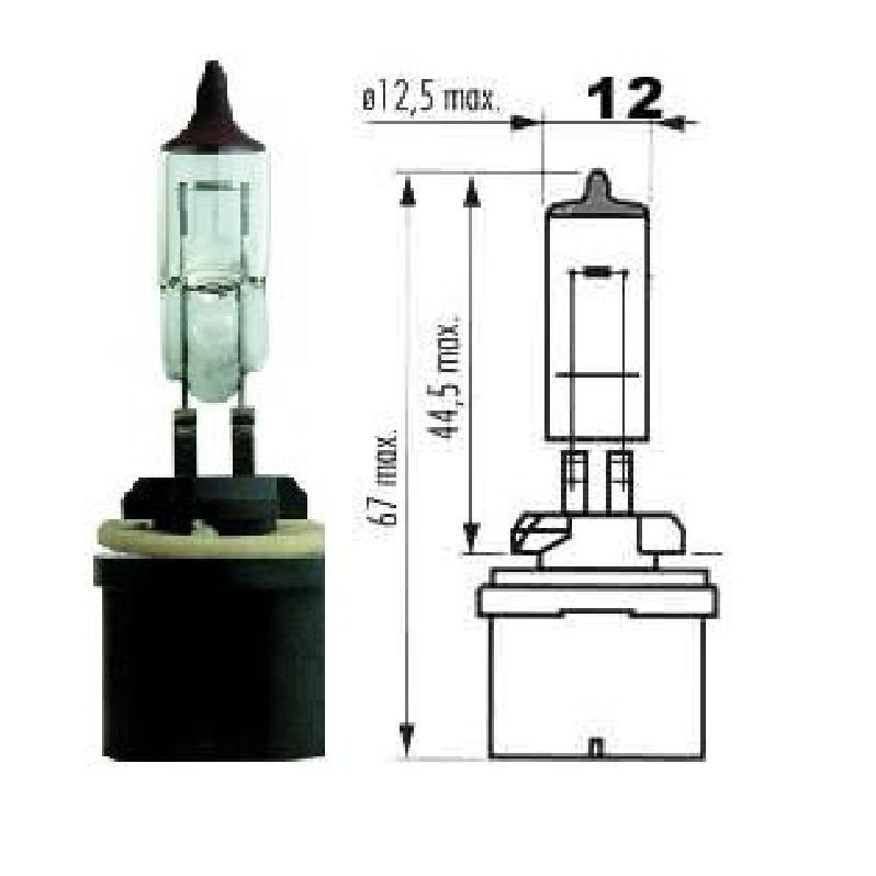 Narva AP 48041 12V 27W H27 PG13 Düz Soketli Ampul