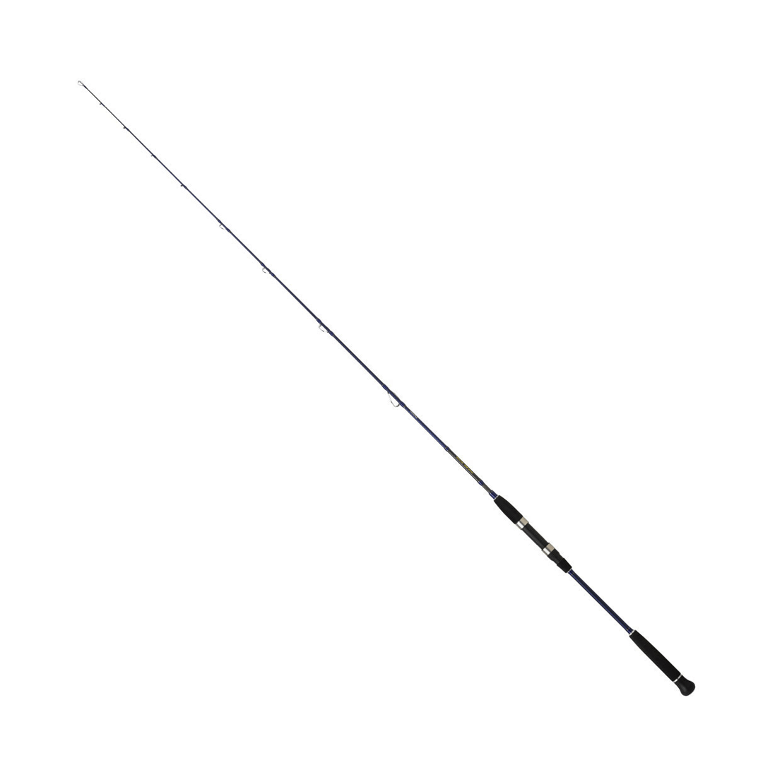 Daiwa Exceler Oceano 190 Cm 60-120 Gr Jig Kamışı