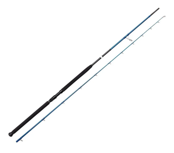 Savage Gear SGS2 Shore Jigging 9'6''/2.90m 20-80 gr Olta Kamışı