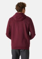 HELLY HANSEN LOGO HOODIE KAPİŞONLU