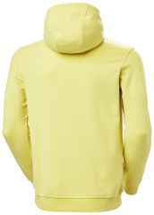 Hh Logo Hoodie Erkek Sweat Shirt