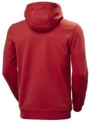 HH LOGO HOODIE - HELLY HANSEN KAPÜŞONLU OUTDOOR SWEAT