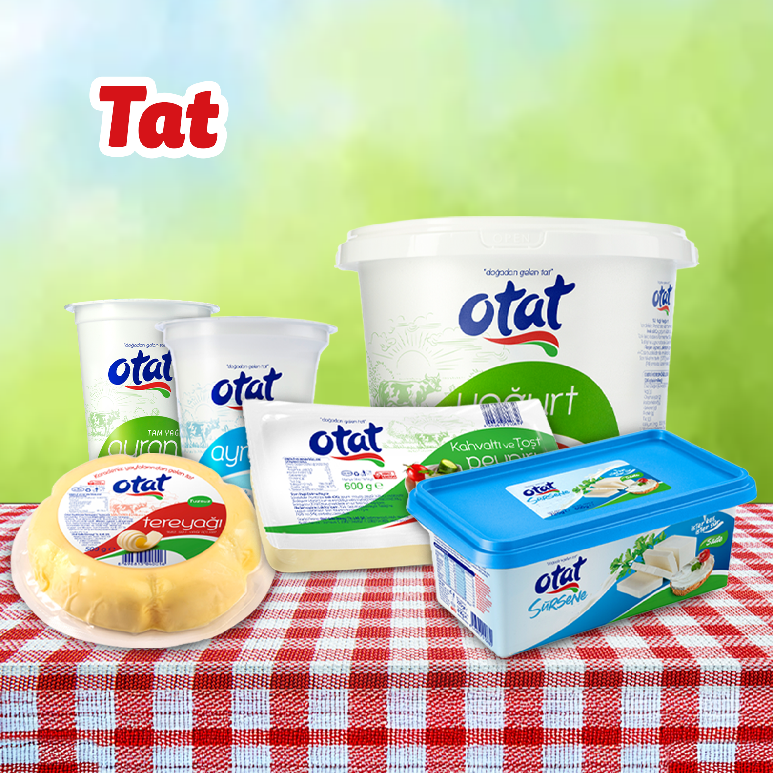 https://www.otatlezzeti.com/kategori/kampanyali-setler-3-lu
