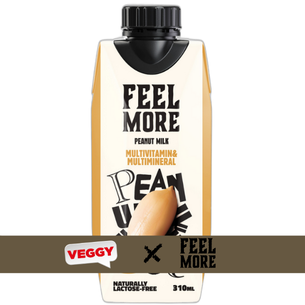 Feel More Peanut Milk 310 ml