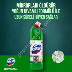 Domestos Çamaşır Suyu 750 ml Dağ Esintisi