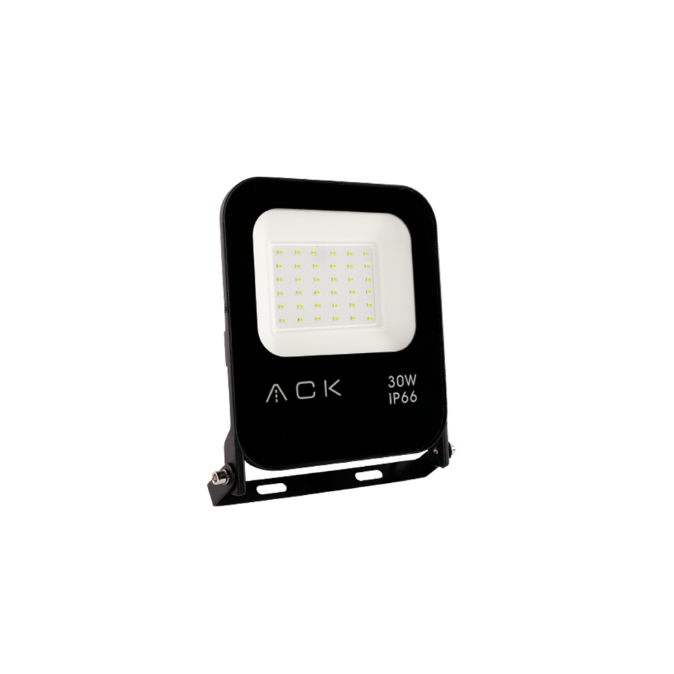 30W Led Projektör