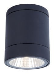 Led Garden Ceiling Light DC480