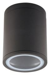 Garden Ceiling Light DC063 AN