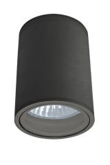 Garden Ceiling Light DW963 AN
