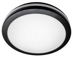 Garden Ceiling Light DW300