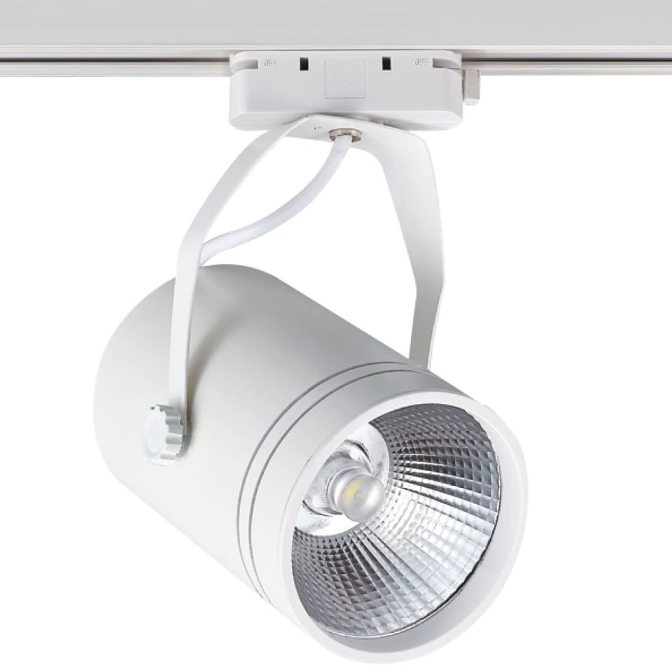 30W Led Ray Spot