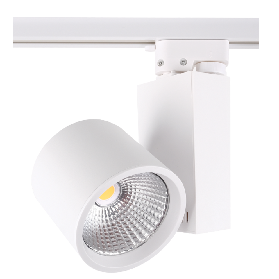 30W Led Ray Spot