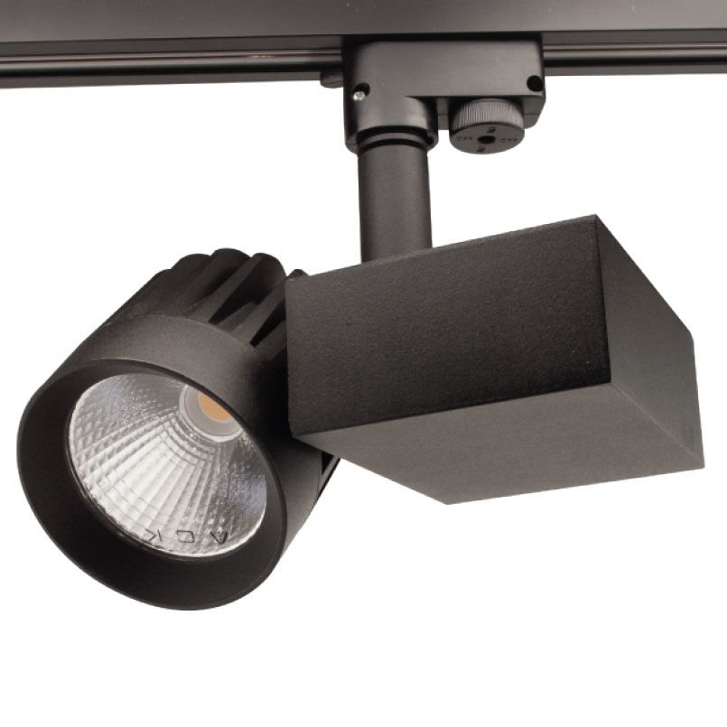 30W Led Ray Spot