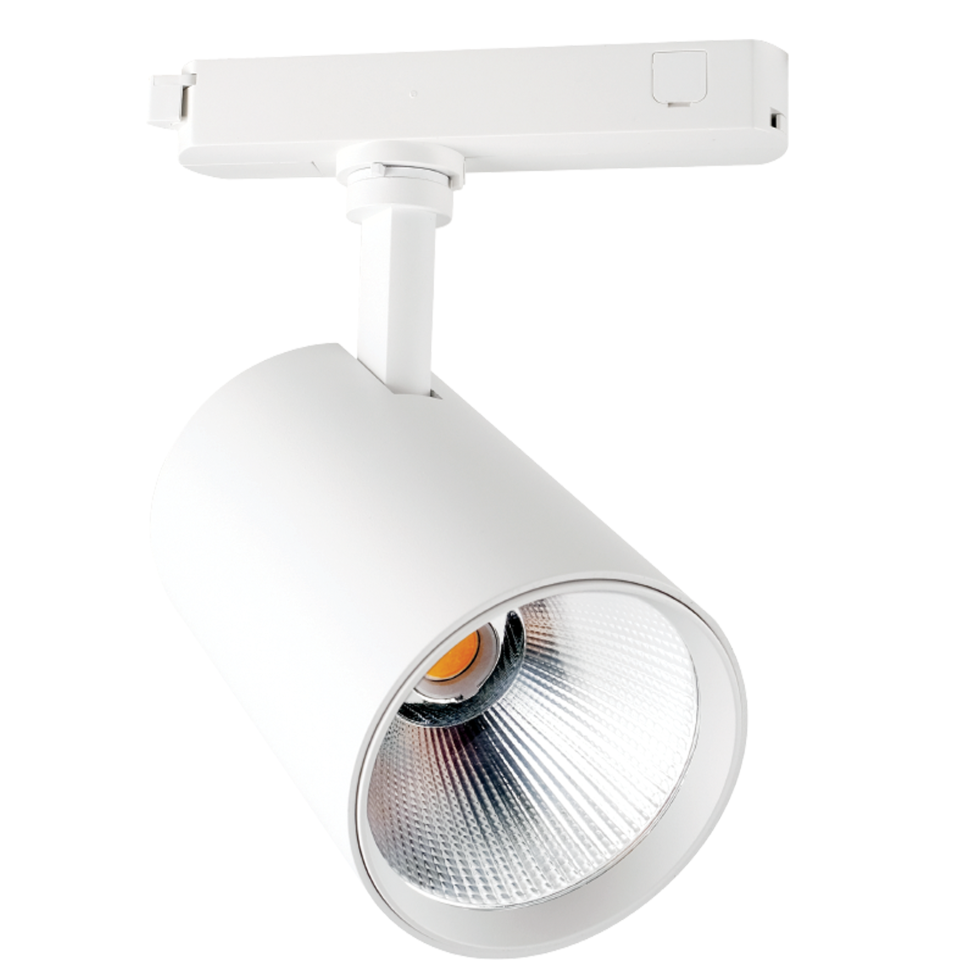 24-31W Led Ray Spot