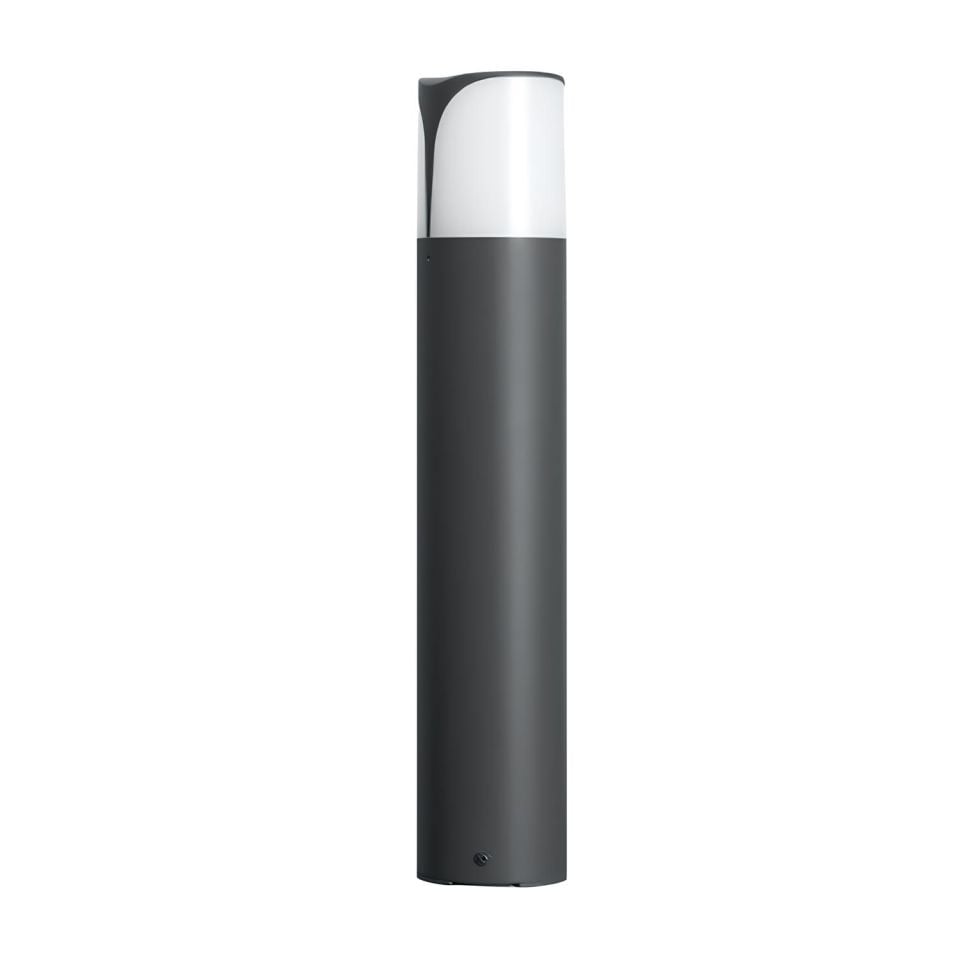 Garden Pole