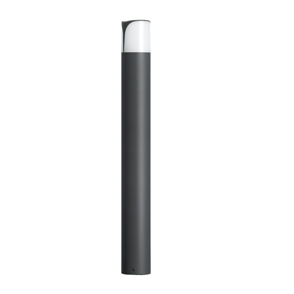 Garden Pole
