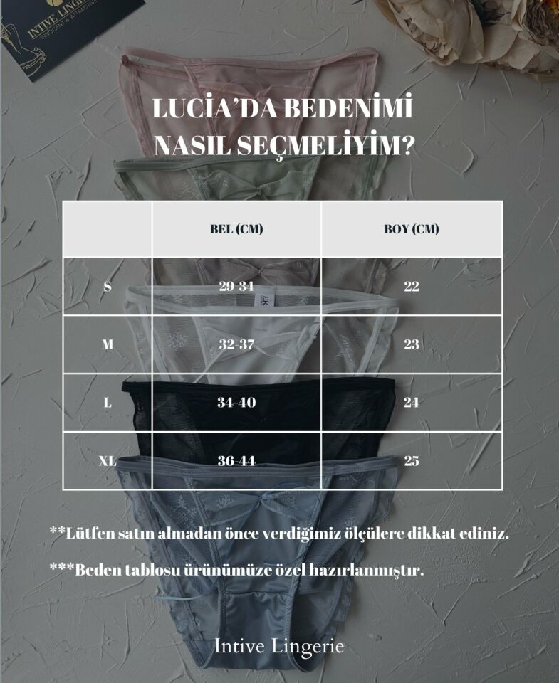 Lucia Japon Style Arkası Tül Saten Kurdele Detaylı Cheeky Külot/Slip-2858 Pembe - L