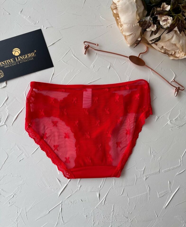Arya Japon Style Arkası Tül Cut-Out Dantel Detaylı Cheeky Külot/Slip-2853 Kırmızı - S