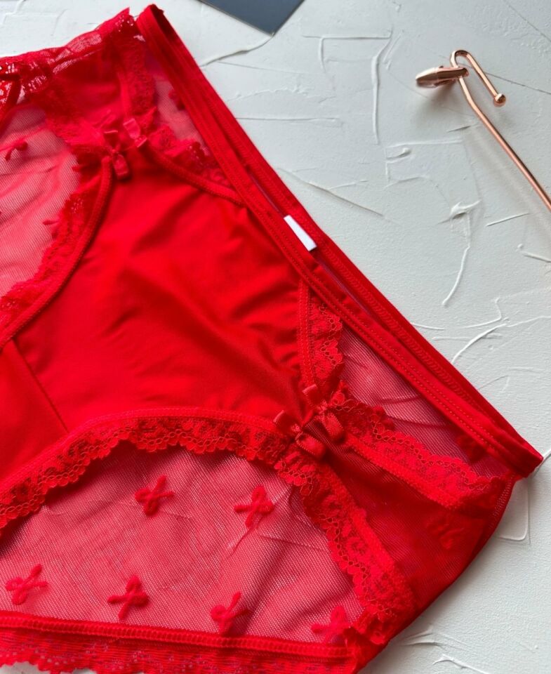 Arya Japon Style Arkası Tül Cut-Out Dantel Detaylı Cheeky Külot/Slip-2853 Kırmızı - XL