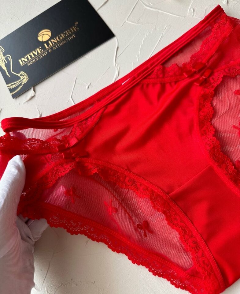 Arya Japon Style Arkası Tül Cut-Out Dantel Detaylı Cheeky Külot/Slip-2853 Kırmızı - XL