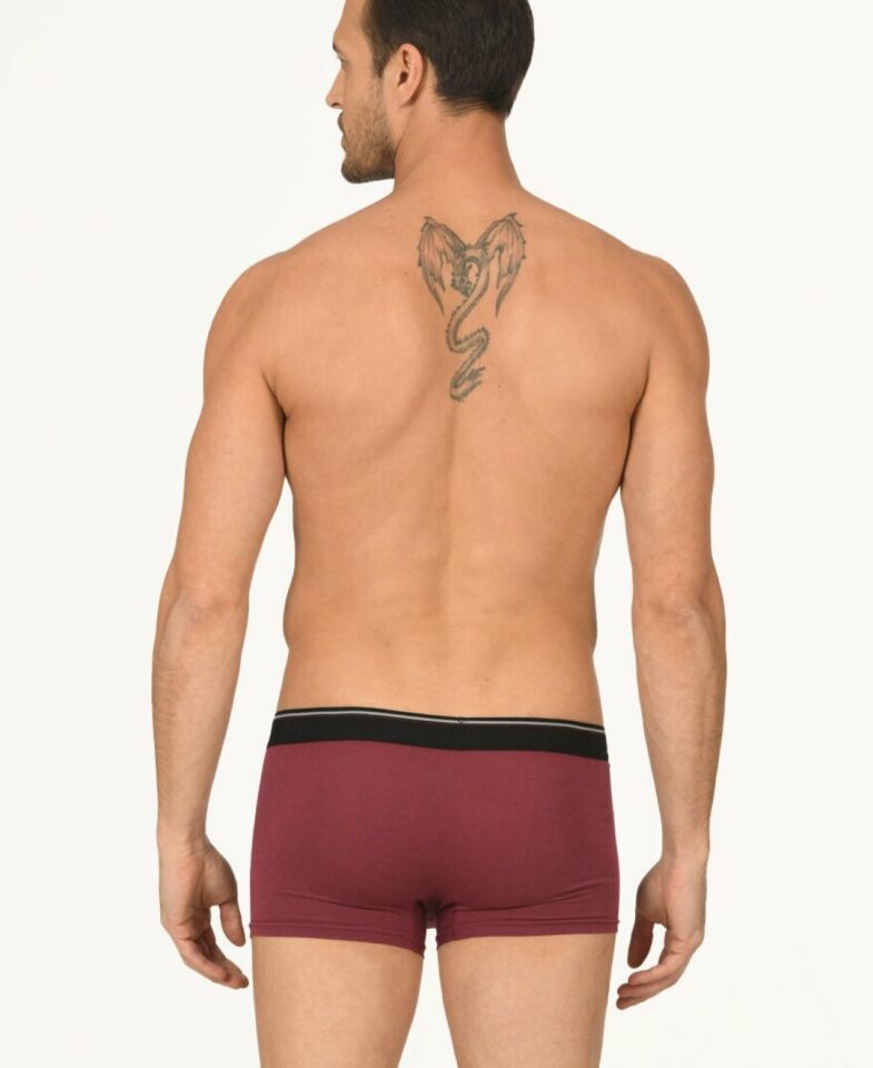 Erkek Hendrix %45 Modal Kumaştan Rahat Bel Lastikli Boxer-735 Bordo - L