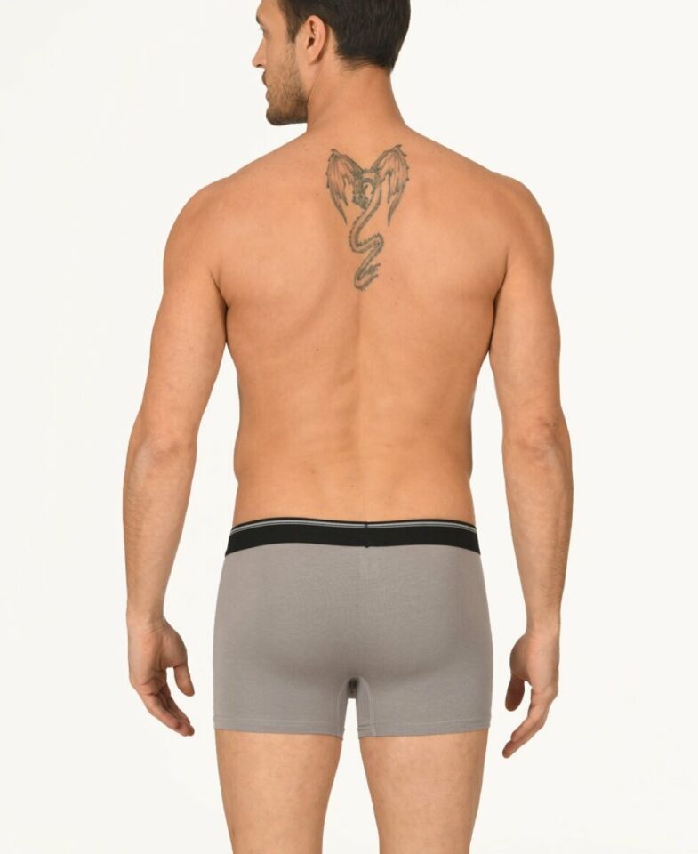 Erkek Hendrix %45 Modal Kumaştan Rahat Bel Lastikli Boxer-735 Gri - S