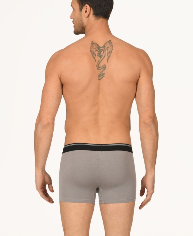Erkek Hendrix %45 Modal Kumaştan Rahat Bel Lastikli Boxer-735 Gri - L