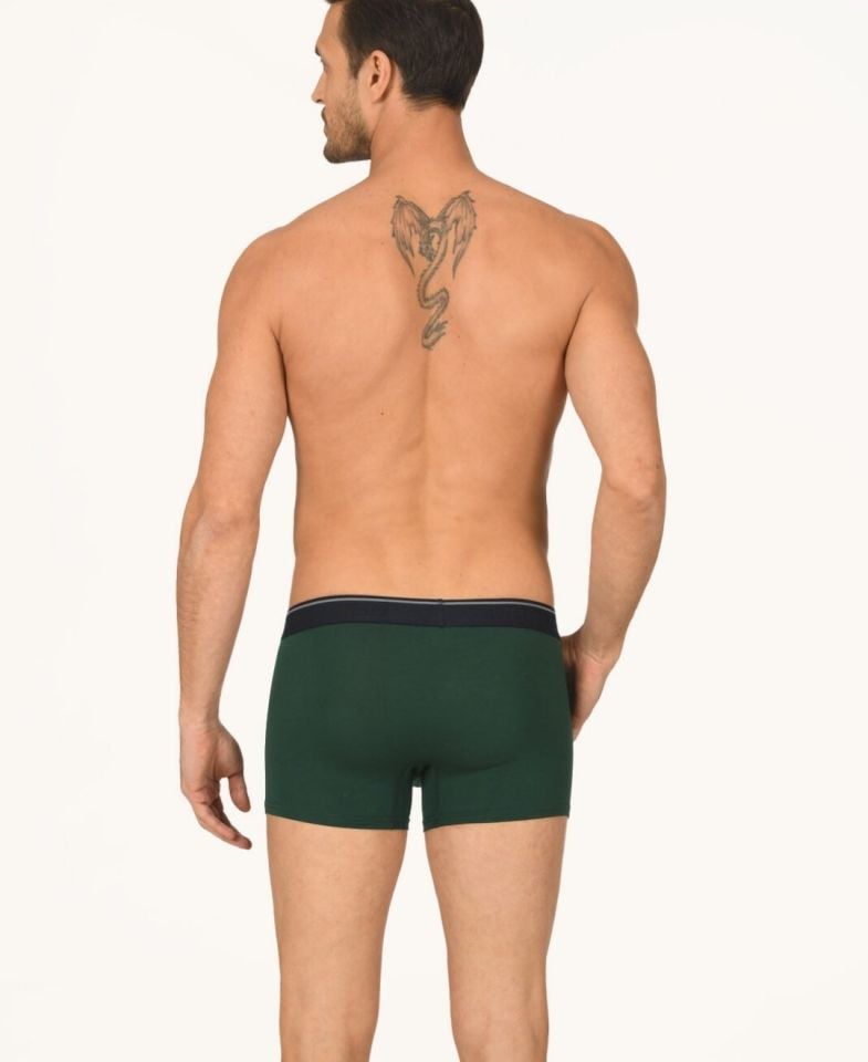 Erkek Hendrix %45 Modal Kumaştan Rahat Bel Lastikli Boxer-735 Yeşil - L