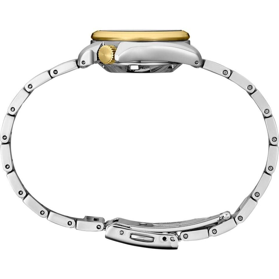 Seiko SRE004K1 Otomatik Çelik Altın/Gri 10 ATM 28 mm Kadın Kol Saati