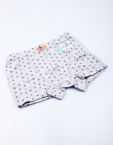 Biyokids Çocuk Erkek 4-5 Yaş Baskılı Renkli Boxer Gri