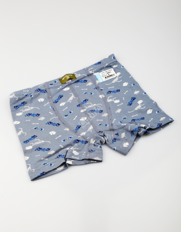 Biyokids Çocuk Erkek 8-9 Yaş Baskılı Renkli Boxer Mavi