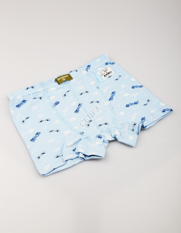 Biyokids Çocuk Erkek 8-9 Yaş Baskılı Renkli Boxer Açık Mavi