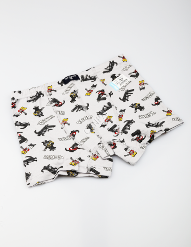 Biyokids Çocuk Erkek 10-11 Yaş Baskılı Renkli Boxer Gri