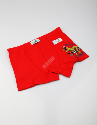 Biyokids Çocuk Erkek 12-13 Yaş Baskılı Renkli Boxer Kırmızı