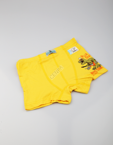 Biyokids Çocuk Erkek 12-13 Yaş Baskılı Renkli Boxer Sarı