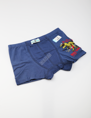 Biyokids Çocuk Erkek 12-13 Yaş Baskılı Renkli Boxer Lacivert