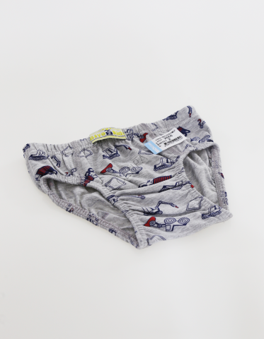 Biyokids Çocuk Erkek 2-3 Yaş Baskılı Renkli Slip Gri