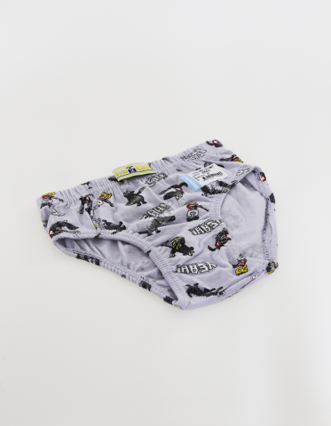 Biyokids Çocuk Erkek 2-3 Yaş Baskılı Renkli Slip Açık Gri