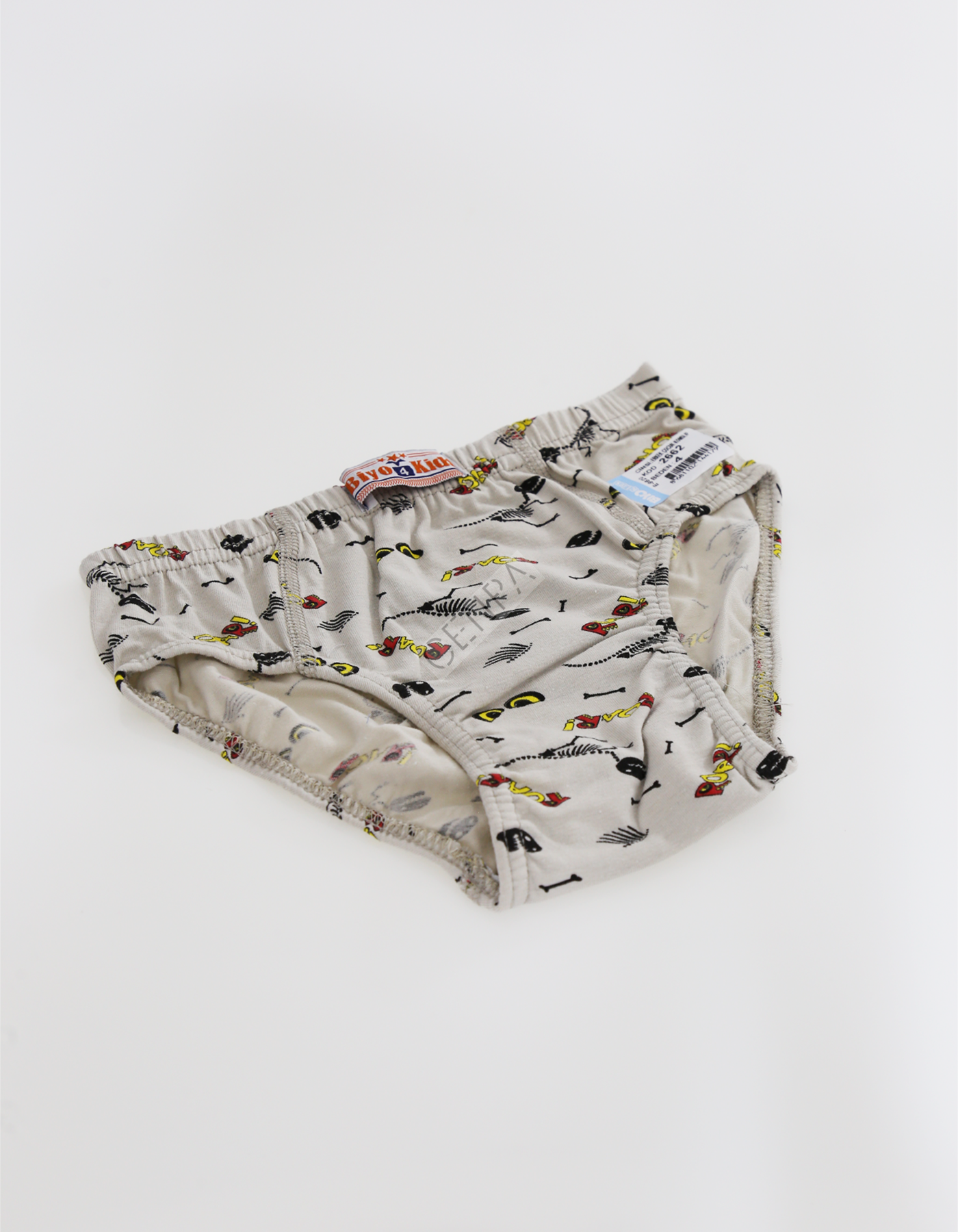 Biyokids Çocuk Erkek 4-5 Yaş Baskılı Renkli Slip Bej