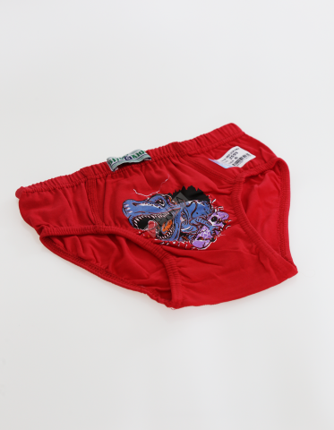 Biyokids Çocuk Erkek 6-7 Yaş Baskılı Renkli Slip Kırmızı