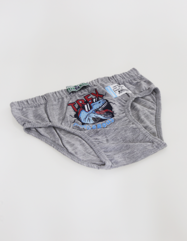Biyokids Çocuk Erkek 6-7 Yaş Baskılı Renkli Slip Gri