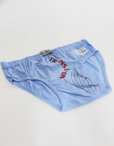 Biyokids Çocuk Erkek 14-16 Yaş Baskılı Renkli Slip Açık Mavi
