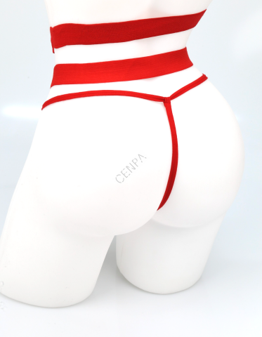 Real Passione 173 Kadın Şeritli Slip