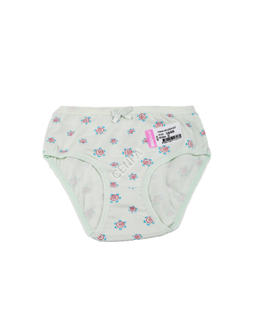 Biyokids Kız Çocuk 2-3 yaş Su Yeşili Baskılı Renkli Slip