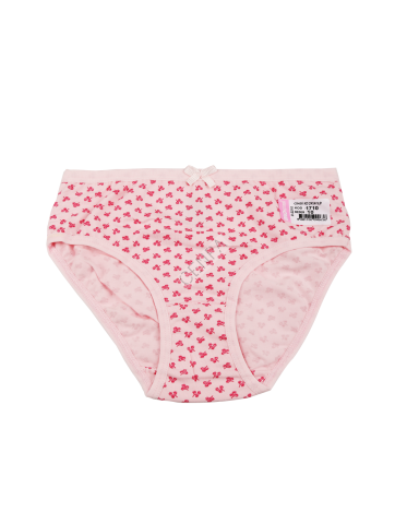 Biyokids Kız Çocuk 10-11 yaş Pembe Desenli Baskılı Renkli Slip